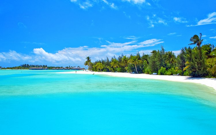 море, пляж, отдых, остров, тропики, мальдивы, sea, beach, stay, island, tropics, the maldives