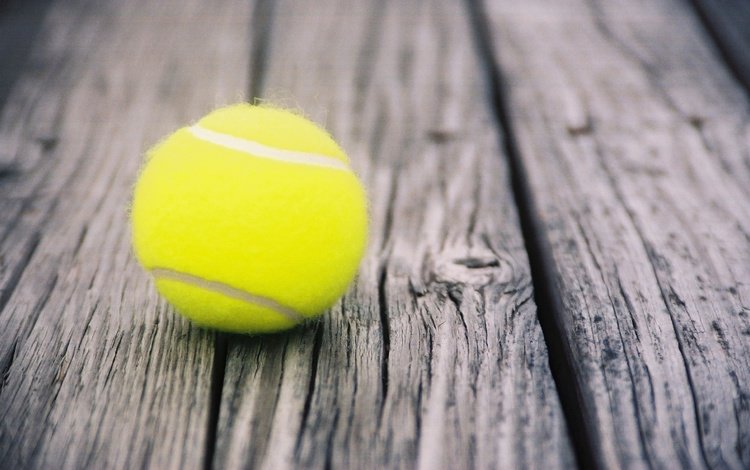 тенис, спорт, мяч, теннис, бал, doski, myach, tennis, sport, the ball, ball