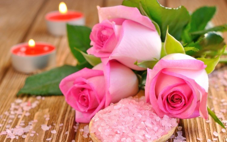 бутоны, розы, лепестки, розовые, свечки, соль, buds, roses, petals, pink, candle, salt