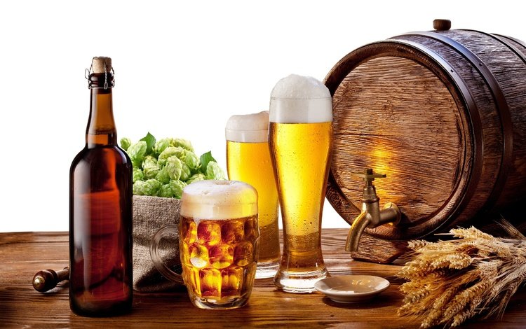 кружка, бочонок, блюдце, краник, стаканы, разливное пиво, бутылка, пиво, пена, ячмень, хмель, mug, barrel, saucer, tap, glasses, bottle, beer, foam, barley, hops