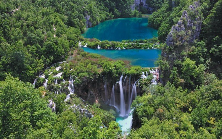 деревья, природа, водопад, хорватия, национальный парк, пли́твичские озёра, trees, nature, waterfall, croatia, national park, plitvice lakes