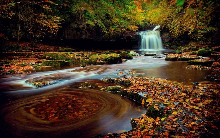 природа, лес, водопад, осень, англия, йоркшир, nature, forest, waterfall, autumn, england, yorkshire