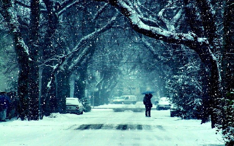 sneg, xolod, grust, alleya