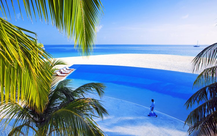 море, пляж, тропики, мальдивы, sea, beach, tropics, the maldives