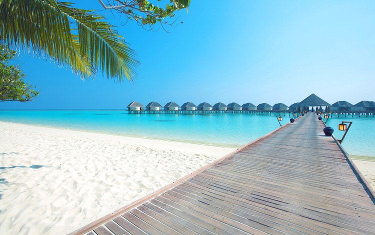 море, пляж, бунгало, тропики, мальдивы, sea, beach, bungalow, tropics, the maldives