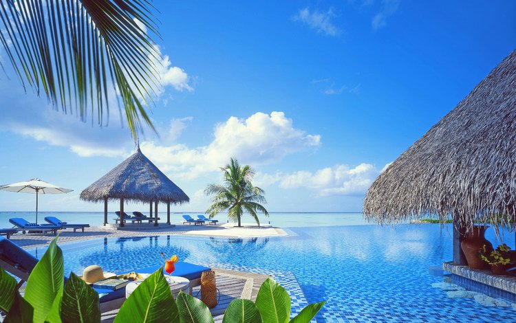 море, пляж, бассейн, курорт, тропики, sea, beach, pool, resort, tropics