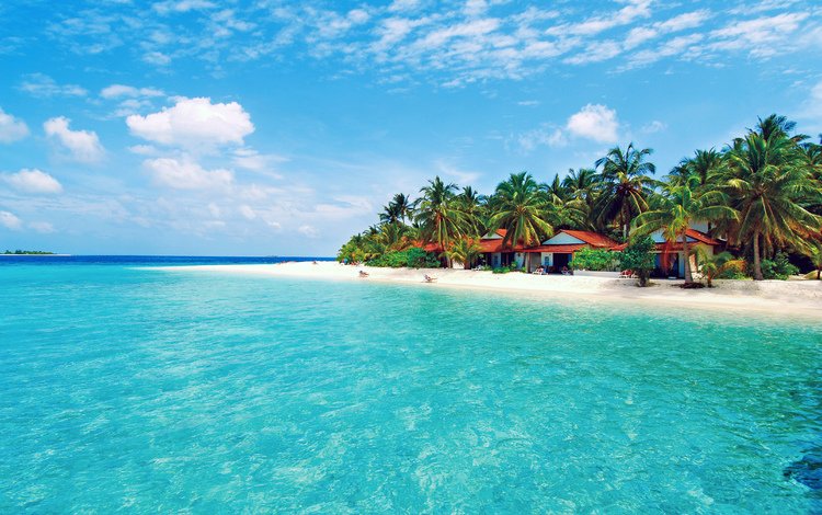 море, пляж, остров, тропики, мальдивы, sea, beach, island, tropics, the maldives