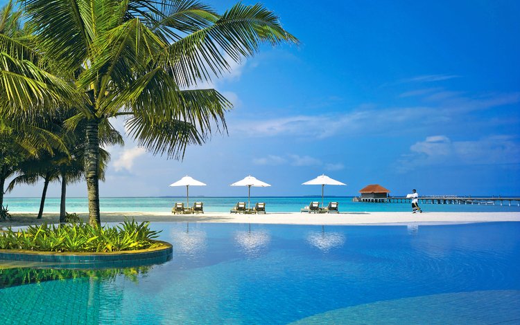 море, пляж, отдых, курорт, тропики, мальдивы, sea, beach, stay, resort, tropics, the maldives