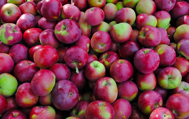 фрукты, яблоки, много, красно-зеленые, fruit, apples, a lot, red-green