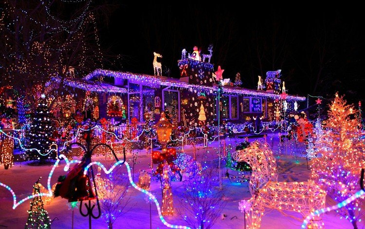 парк, праздник, рождество, канада, торонто, новогодняя иллюминация, park, holiday, christmas, canada, toronto, christmas illuminations