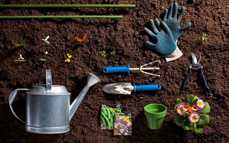 земля, фон, семена, инструменты, лейка, садоводство, earth, background, seeds, tools, lake, gardening