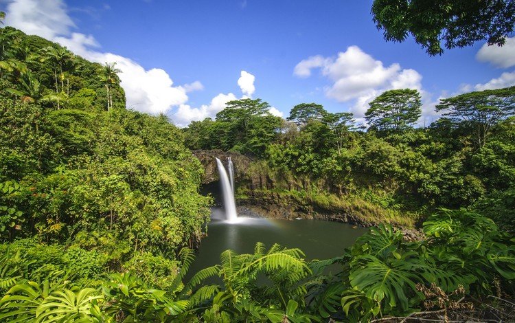 деревья, лес, водопад, тропики, гавайи, trees, forest, waterfall, tropics, hawaii