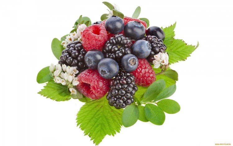 листья, малина, ягоды, черника, ежевика, leaves, raspberry, berries, blueberries, blackberry