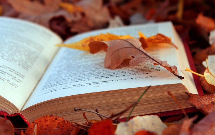 листья, листва, осень, текст, книга, страницы, leaves, foliage, autumn, text, book, page