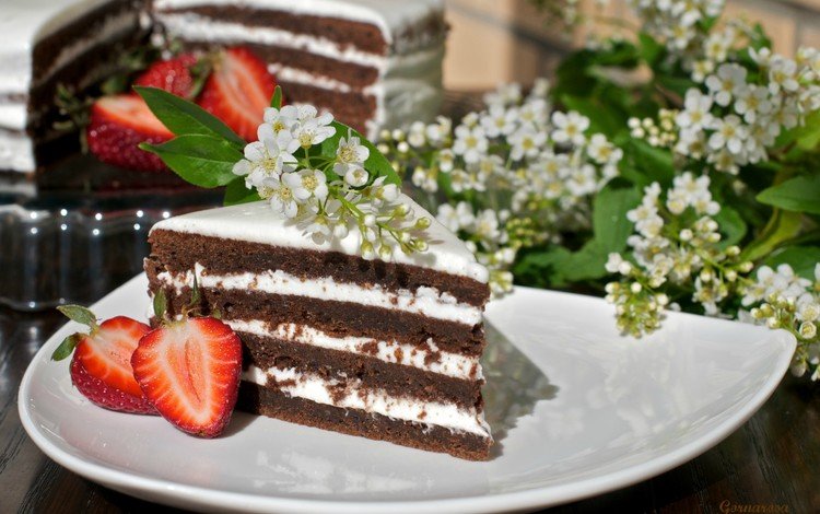 крем для торта, клубника, сладкое, торт, кусок, черемуха, cream cake, strawberry, sweet, cake, piece, cherry