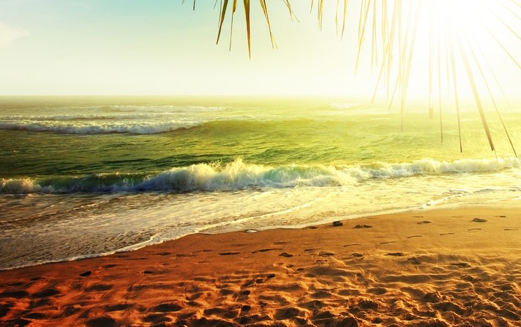 природа, берег, море, песок, пляж, побережье, nature, shore, sea, sand, beach, coast