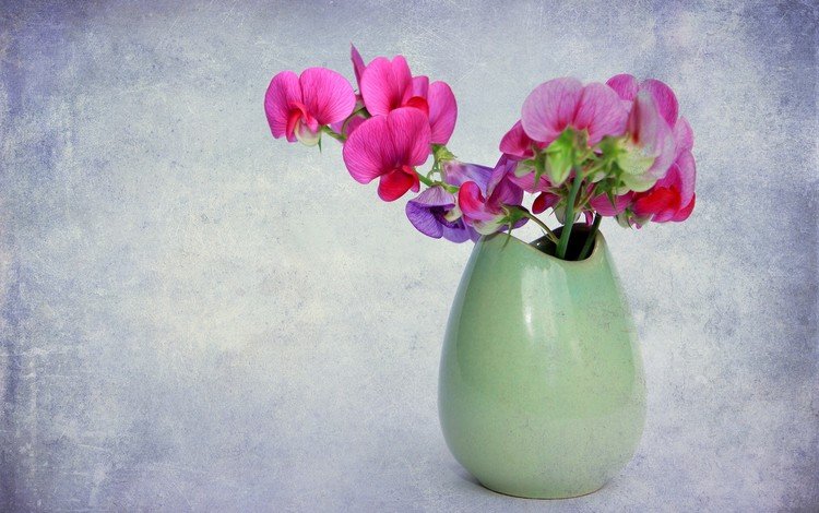 цветы, фон, букет, ваза, орхидея, flowers, background, bouquet, vase, orchid