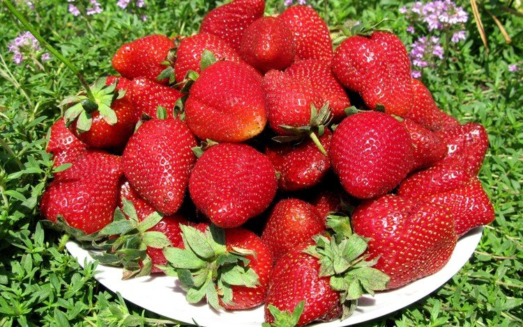 лето, клубника, красота, ягоды, земляника, summer, strawberry, beauty, berries, strawberries