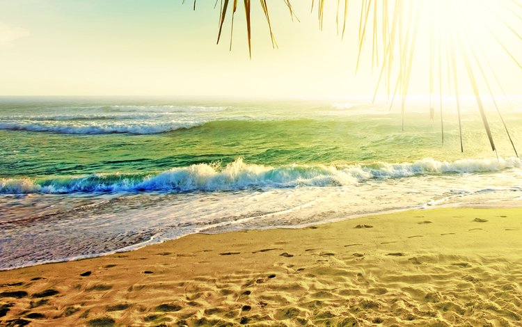 солнце, море, пляж, отдых, тропики, the sun, sea, beach, stay, tropics