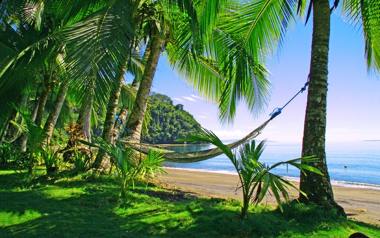 море, пляж, отдых, гамак, тропики, sea, beach, stay, hammock, tropics