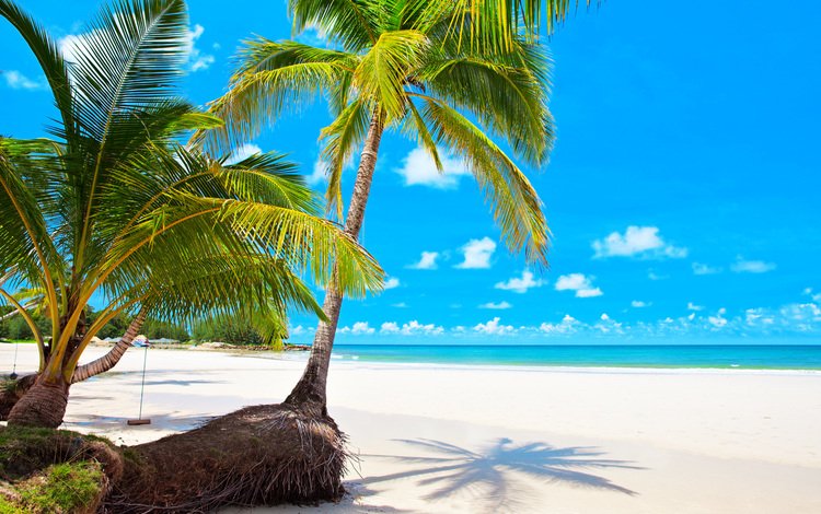 море, пляж, отдых, тропики, мальдивы, sea, beach, stay, tropics, the maldives