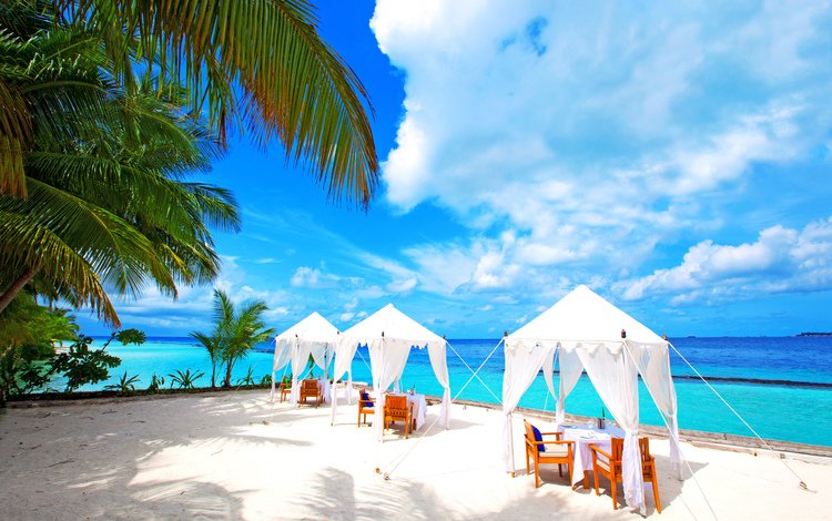 море, пляж, отдых, курорт, ресторан, тропики, мальдивы, sea, beach, stay, resort, restaurant, tropics, the maldives