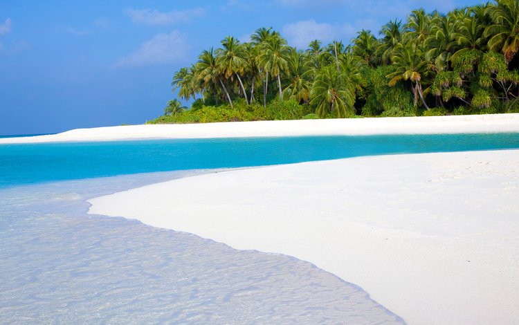 море, пляж, отдых, остров, тропики, мальдивы, sea, beach, stay, island, tropics, the maldives