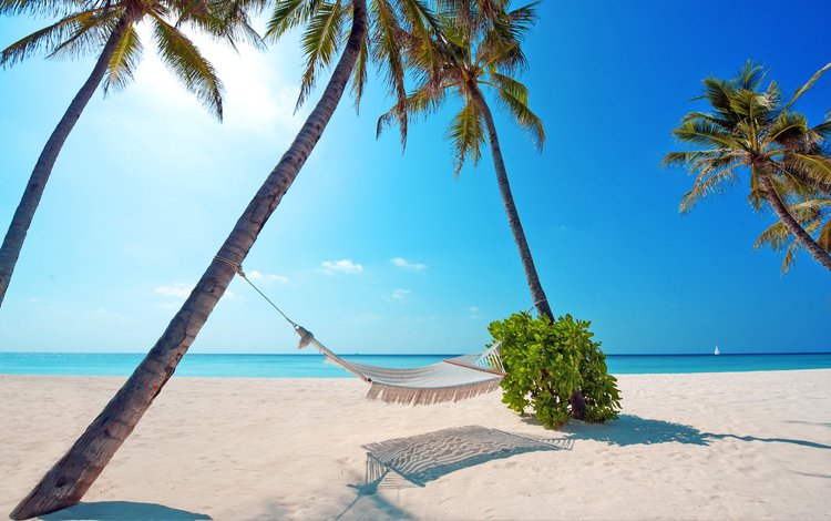 море, пляж, отдых, гамак, тропики, sea, beach, stay, hammock, tropics
