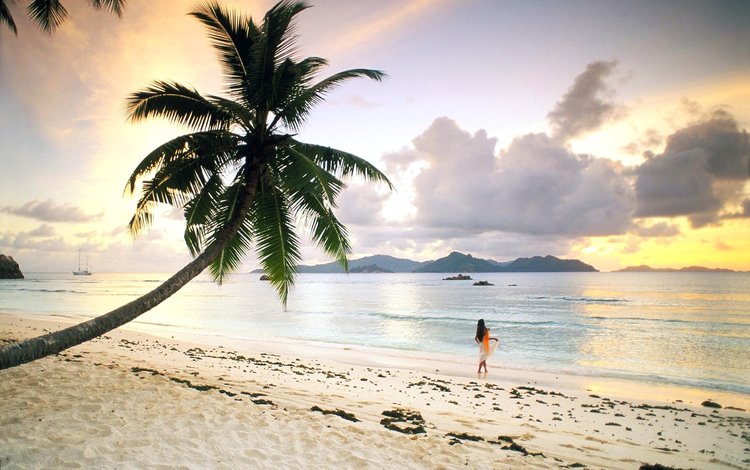 девушка, море, пляж, пальма, отдых, тропики, girl, sea, beach, palma, stay, tropics