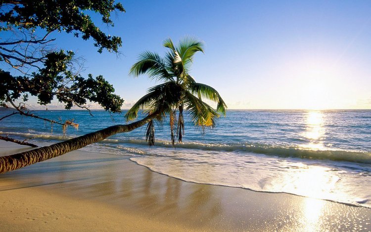закат, море, пляж, отдых, тропики, chudo, sunset, sea, beach, stay, tropics
