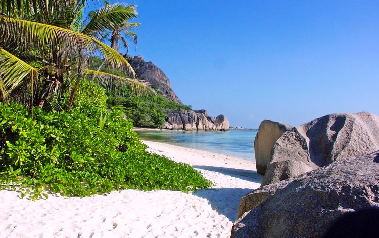 море, пляж, отдых, остров, тропики, сейшелы, sea, beach, stay, island, tropics, seychelles