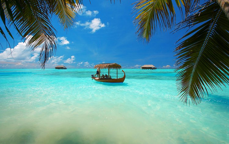 море, лодка, отдых, бунгало, тропики, мальдивы, sea, boat, stay, bungalow, tropics, the maldives