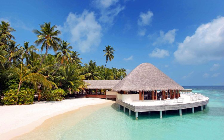 море, пляж, отдых, бунгало, тропики, мальдивы, sea, beach, stay, bungalow, tropics, the maldives