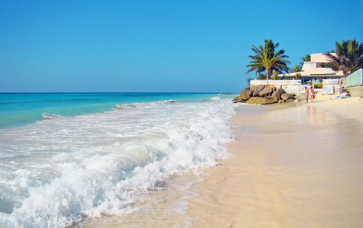 море, пляж, отдых, тропики, фазенда, sea, beach, stay, tropics, fazenda