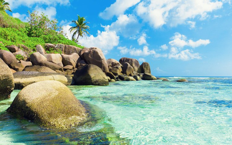 море, отдых, остров, тропики, сейшелы, sea, stay, island, tropics, seychelles