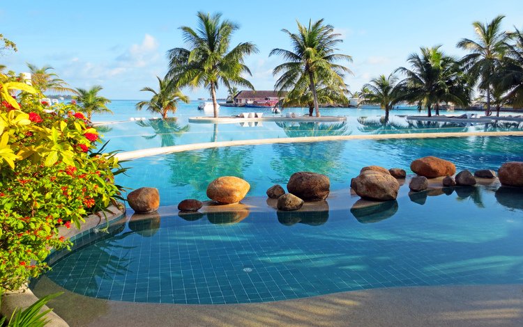 море, пляж, бассейн, отдых, остров, курорт, тропики, мальдивы, sea, beach, pool, stay, island, resort, tropics, the maldives