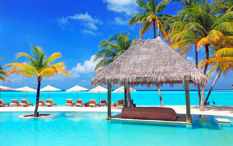 море, пляж, бассейн, отдых, курорт, тропики, мальдивы, sea, beach, pool, stay, resort, tropics, the maldives