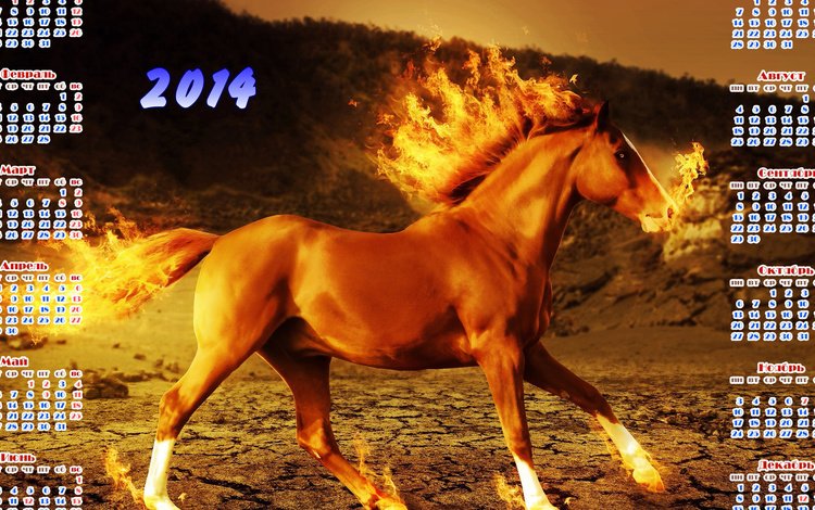 календарь, год лошади, картинка 2014, calendar, the year of the horse, picture 2014