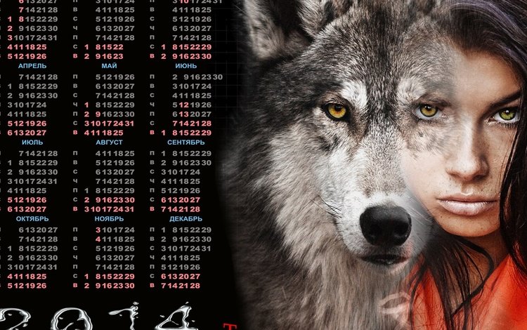 календарь, 2014 год, одинокая волчица, calendar, 2014, lone wolf