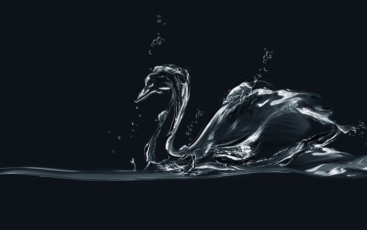 вода, лебедь, минимаизм, мыльные пузыри, деятель, water, swan, minimalism, bubbles, figure