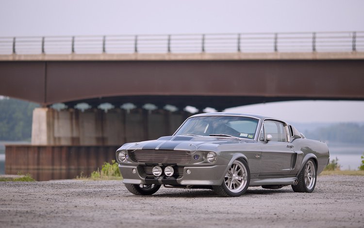 легенда, мустанг, форд, eleanor, gt500, шелби, фон.jpg, legend, mustang, ford, shelby