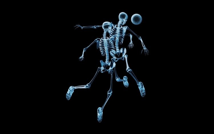 футбол, скелеты, рентген, мяч, football, skeletons, x-ray, the ball