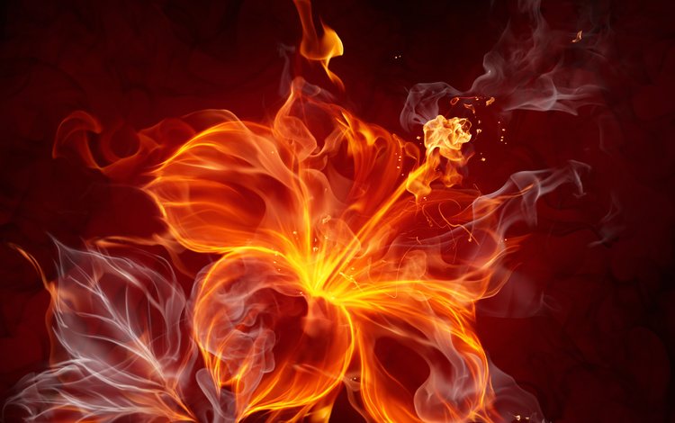 абстракция, пламя, цветок, огонь, дым, силуэт, волшебный цветок, abstraction, flame, flower, fire, smoke, silhouette