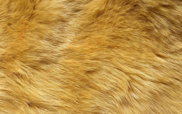 желтый мех, yellow fur