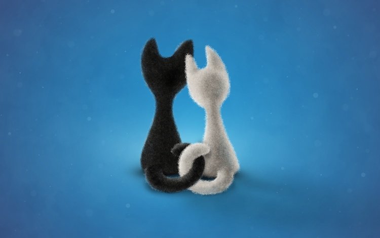 фон, черный, белый, коты, котята сплелись хвостами, background, black, white, cats, kittens entwined tails