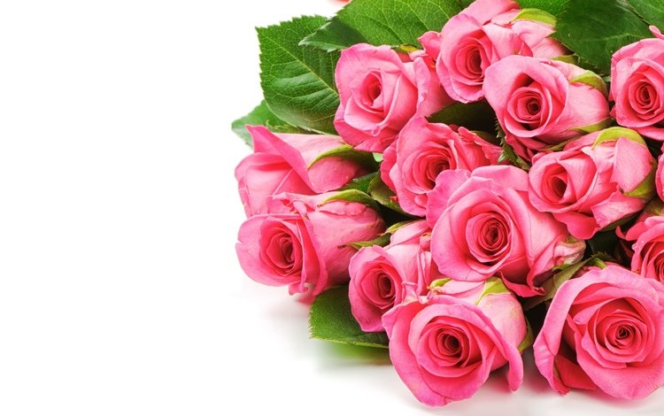 цветы, розы, букет, розовый, flowers, roses, bouquet, pink
