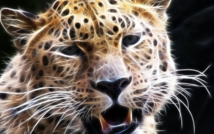 морда, усы, взгляд, леопард, 3d графика, face, mustache, look, leopard, 3d graphics