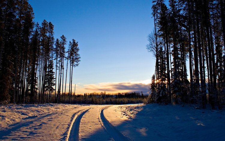 дорога в зимнем лесу на закате, road in winter forest at sunset