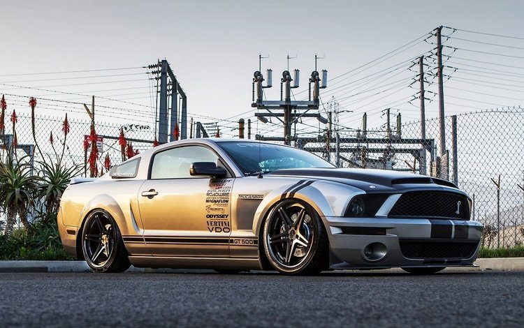 форд мустанг шелби gt500, ford mustang shelby gt500