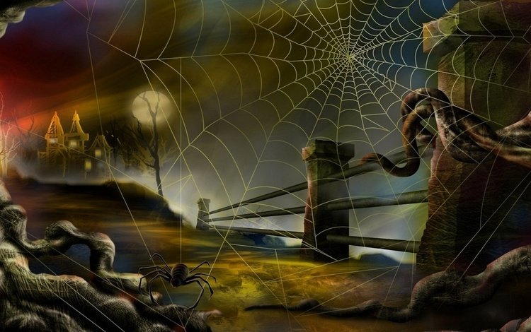 паук и паутина, spider and web